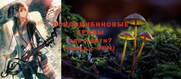 соль курить ск Заводоуковск