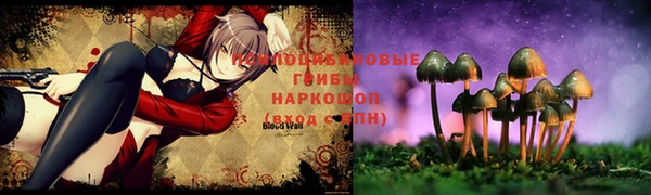 гидропоника Зеленодольск