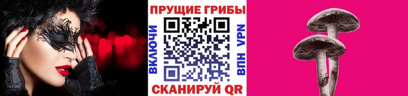 Галлюциногенные грибы ЛСД  Купить закладки  Таганрог 